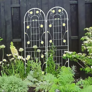 2-Pack Rustproof Metal Garden Trellis for Climbing Plants,Outdoor Flower Support - Picture 1 of 6