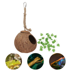 Natural Hanging Bird Toy with Vine Garland for Pet Parrot Budgies