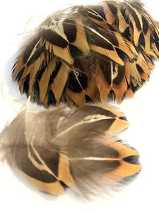 25pcs Natural Petite 3-4cm Real Pheasant Plumage Feathers DIY Art Craft Jewelery - Picture 1 of 14