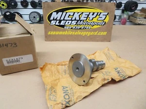 OEM 1999-00 POLARIS VICTORIA EDICIÓN ESPECIAL ESTÁNDAR CRUCERO EJE DE LEVAS ÁRBOL DE LEVAS - Imagen 1 de 12