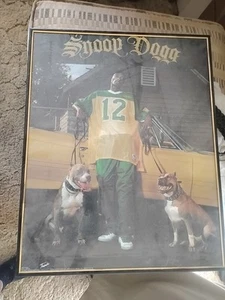 Trends Print Vintage 2005 Snoop Dog 16"X20" Stampa con cornice di vetro - Foto 1 di 17