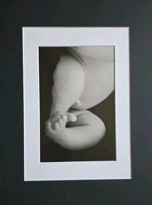 Tiny Baby Toes Tootsies Birth Geddes Fine Art Photo Lithograph A3 Mounted Birth - Picture 1 of 7