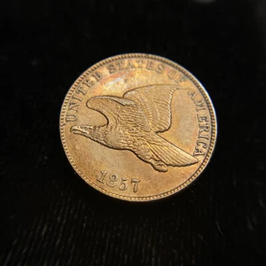 1857 Flying Eagle Small Cent Uncirculated BU MS UNC Luster Penny 1c MAKE OFFER! - Picture 1 of 6