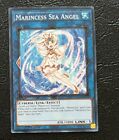 Marincess Sea Angel Led9-En040 Yu-Gi-Oh! Card Near Mint 1St Edition