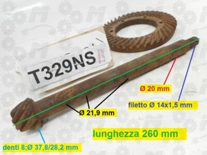 Coppia conica pignone e corona differenziale,per: Fiat 600 auto d'epoca, 1960 - Picture 1 of 6