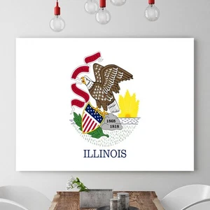 ILLINOIS State Art Print Flag United States Office Home Wall Decor Poster/Canvas - Picture 1 of 4