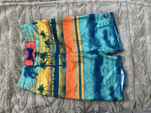 Big Boy Laguna Swim/Board Shorts Sz 14/16 - Picture 1 of 3