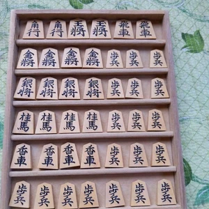 Yamagami Saku Shogi Juego de Piezas Inscripción Bandera Nishiki 41 Piezas Kits - Imagen 1 de 12