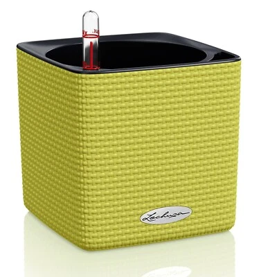 Lechuza self watering planter Cube 13385 Color 14 lime green flower pot herbs - Image 1 of 4