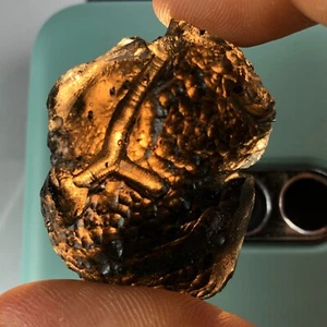 TECTITA COLOMBIANA - MÁS ALTA CALIDAD 1 PIEZA 21,1 gramos / 0,744 oz - Imagen 1 de 9