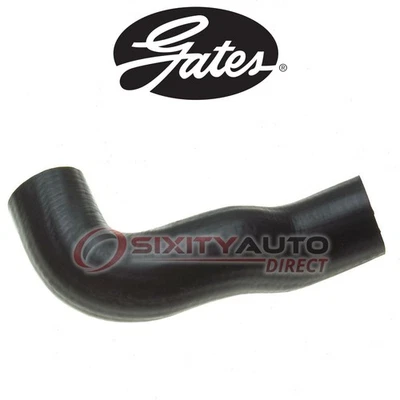 Gates Lower Radiator Coolant Hose for 1959 Chevrolet 3C 4.6L V8 - Antifreeze tz - Image 1 of 4