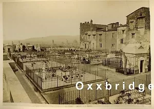 ALTES ITALIENISCHES ALBUMENFOTO 1880 FRIEDHOF SAN MICHELE/CIMITERO S MINIATO RAR - Bild 1 von 2