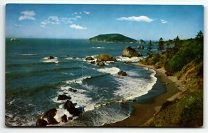 Postcard Trinidad Head California from US 101 CA UNP Chrome - Picture 1 of 2