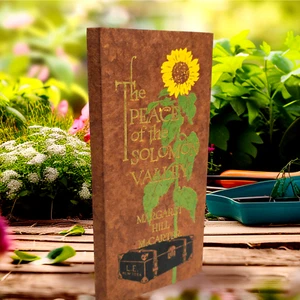 Vintage The Peace of the Solomon Valley by Margaret Hill McCarter 1911 - Bild 1 von 13