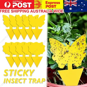 Up to 50pcs Dual Sided Strong Sticky Trap Insect Killer Fruit Fly Trap DF - Picture 1 of 20