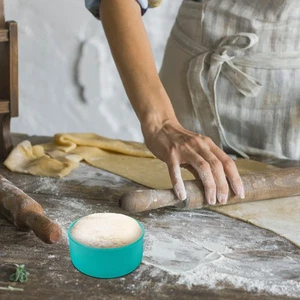  Pizzateig Schüssel Wiederverwendbar Teigbehälter Silikon Pizzateig Gärbox - Bild 1 von 12