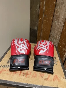 Guantes de Boxeo Evo Fitness Deportes Artes Marciales Sparring Kick Boxing Rojo 12 Oz - Imagen 1 de 19