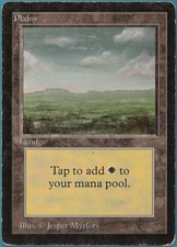 Plains (C Dark) Beta HEAVILY PLD Basic Land MAGIC MTG CARD (ID# 233807) ABUGames