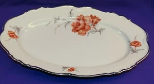 EDELSTEIN PORZELLAN GESCHIRR CARMEN MUSTER 13,5" OVALE PLATTE PLATIN BAYERN - Bild 1 von 4