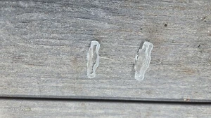 VIZIO WHITE PAPER PEWAAWE KIT SET OF 2 USED IN MODEL D40F-J9 & PANEL V400HJ9-D03 - Picture 1 of 1