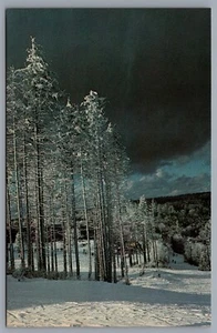 Vintage Schneeschuh Berg Skigebiet West Virginia Postkarte 1352 - Bild 1 von 2