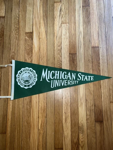 VINTAGE MICHIGAN STATE SPARTANS FELT PENNANT 30" long NICE SHAPE Cover