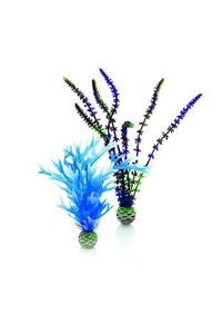 Blue/Purple Plant Pack Medium - Picture 1 of 2