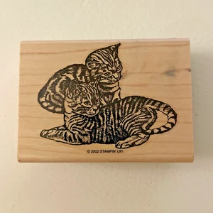 Stampin Up 2002 Cats Rubber Stamp - Tabby Kittens - Fancy Feline - Picture 1 of 2