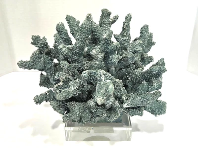 Escultura de coral costero sobre base de acrílico imitación coral marino decoración del hogar acento 10" Foto 1 de 4