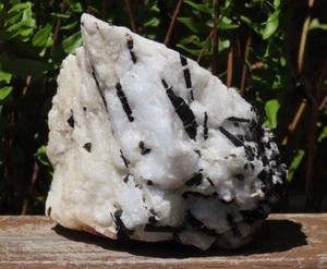 Rough & Raw Black Tourmaline In Quartz Natural Crystal 739 Grams Chunk - Bild 1 von 13