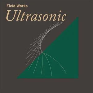 Various – Ultrasonic (TRR342LP) (Limited Black Vinyl + Download Code) (New) - Picture 1 of 1