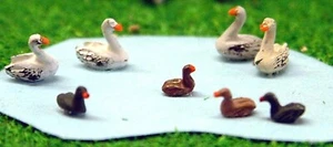 Waterfowl 4 swans 4 ducks Birds A61p PAINTED N Gauge Scale Langley Models 1/148 - Picture 1 of 3