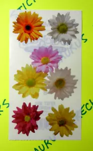 Frances Meyer Daisy Flowers Small Sticker Sheet - Picture 1 of 4