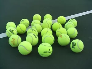 25 USED Tennis Balls ~ Dog Toy Catch Baseball~Walker Table Chair feet~FREE SHIP! - Picture 1 of 4