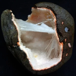 SCOLESITE SPRYS Y AGUJAS EN MATRIZ ROSA GEODA ROCAS MINERALES ESPECÍMENES - Imagen 1 de 4