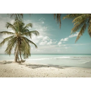 Fototapete-VLIES-SAND STRAND-(C13347)-Tapete-Nach-Mass-Palmen Tropische Dune XXL - Bild 1 von 5