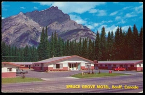 SPRUCE GROVE MOTEL - BANFF, ALBERTA POSTCARD - Picture 1 of 1