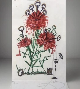 🌈 Salvador Dali “ Petite Florae Daline” Acquatinta con certificato 97 / 150 - Foto 1 di 15