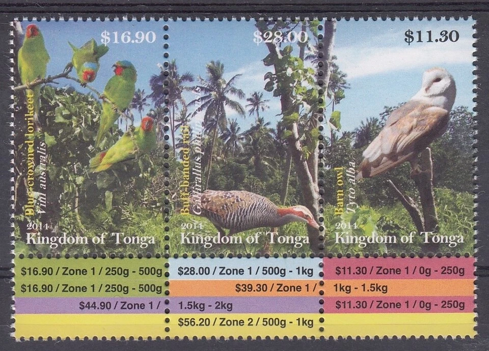 Tonga: Juego completo de 3 aves 2014 - Lorikeet, Búho, Riel. Alto FV, MUH y barato!!!! Foto 1 de 1