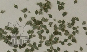 Reality im Maßstab 1:32 1:35 Birkenblätter (ca. 100 Stk.) - Grün L3004* - Bild 1 von 1