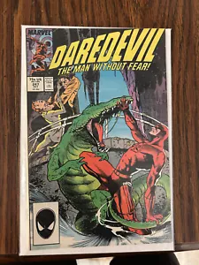 DAREDEVIL EL HOMBRE SIN MIEDO #247 - Imagen 1 de 1