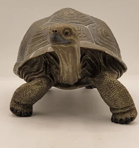 Safari Ltd Galapagos Adult Tortoise 2005 - used excellent mint condition - Picture 1 of 9