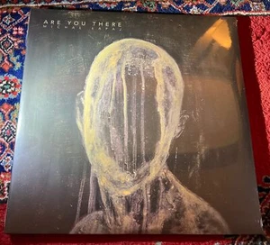 Michal Lapaj Are You There (Vinyl) 12" Album. Sealed. Silver Ltd. Ships from USA - Imagen 1 de 11