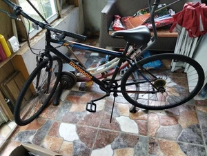 Bicycle - Picture 1 of 1