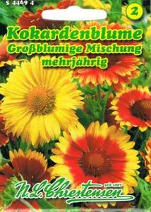 Kokardenblume Großblumige Mischung 'Gaillardia aristata' mehrjährig 544694 - Bild 1 von 2