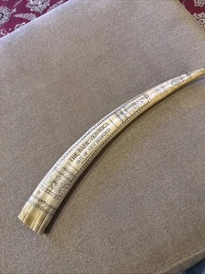 Colmillo de morsa de resina fundida “The bark Veronica” de New Bedford (CG) Foto 1 de 4