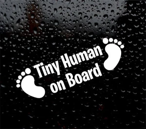 PICCOLO UMANO A BORDO DECALCOMANIA LOGO PER AUTO/FURGONE/LAPTOP VINILE ADESIVO IMPRONTA BAMBINO - Foto 1 di 5