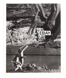 ONE MILLION YEARS B.C. 1966 VINTAGE MOVIE PHOTO HARRYHAUSEN DINOSAURS PTEROACTYL - Picture 1 of 1