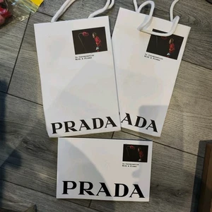 Prada In conversation with a flower New York promo bag & 2 brochures Fall 23 - Picture 1 of 18