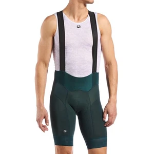 Giordana Cycling Bibs Shorts FR-C PRO Mens| Forest Forest-Size XL |BRAND NEW - Picture 1 of 9